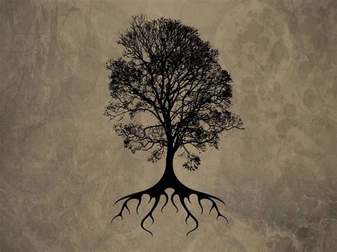 Tree Roots Wallpapers - Top Free Tree Roots Backgrounds - WallpaperAccess