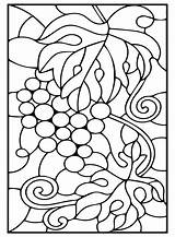 Images Grapes Coloring Page  Free Printable Coloring Pages sketch template