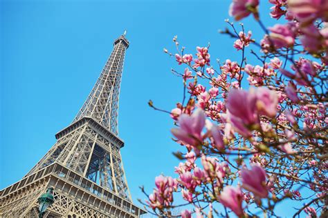 Virtual Tour: Eiffel Tower | French-American Cultural Foundation