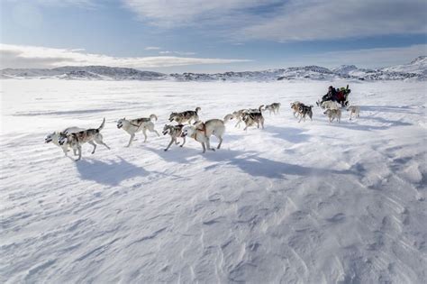 What to do in Greenland in Winter