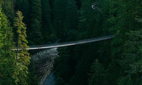 The Suspension Bridge | Capilano Suspension Bridge Park