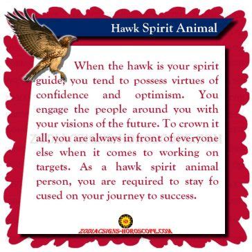 Hawk Spirit Animal: Meaning, Symbolism and Dreams of Hawk Totem