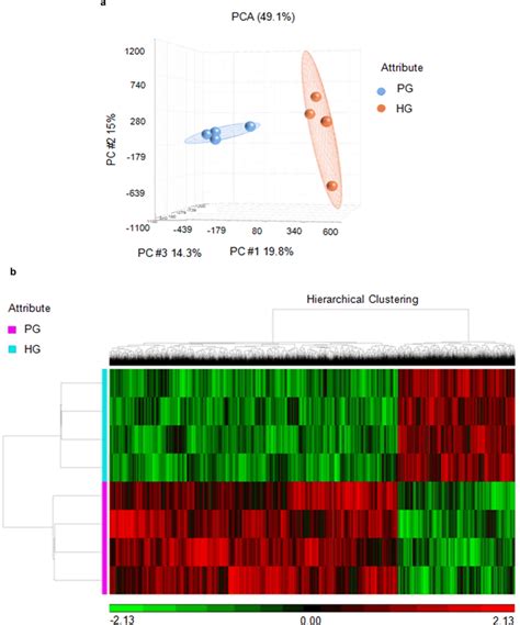 Whole genome DNA methylation profiling in hNPCs under PG or HG using... | Download Scientific ...