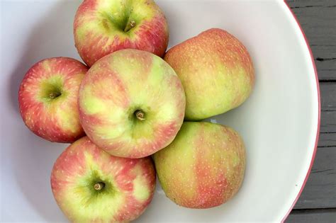 Honeycrisp Apples | Produce Geek