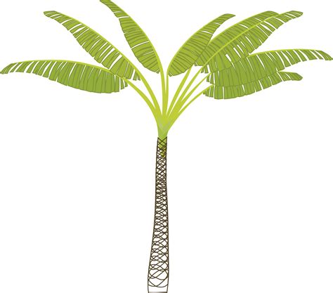 Clipart - palm-tree