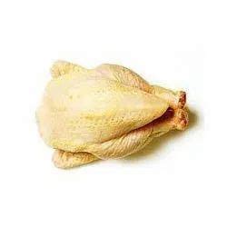 Guinea Fowl Meat at best price in New Delhi by Cheng buri Laboratory ...