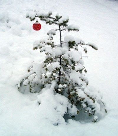 80 best images about Winter in Ottawa Ontario, Canada on Pinterest ...