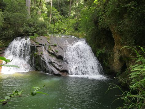 Butano State Park and adjacent valleys