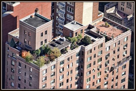 Rooftops of New York | Rooftop, New york, Building