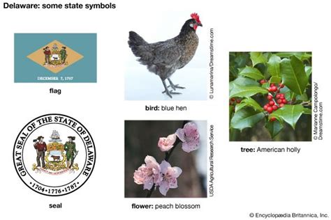 Delaware state symbols - Kids | Britannica Kids | Homework Help