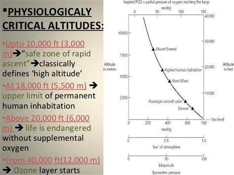 High-altitude-physiology