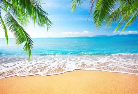 Seascape Photography Backdrops Beach Photo Background Computer Printed Backdrops for Photography ...