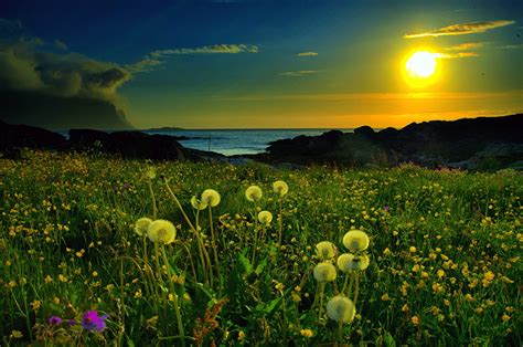 Fondos de Pantalla Amaneceres y atardeceres Sol Naturaleza descargar imagenes