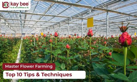 Master Flower Farming: Top 10 Tips & Techniques