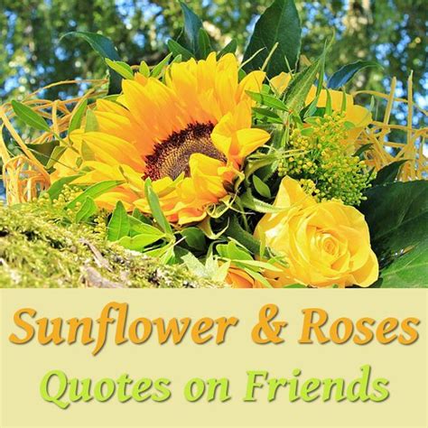 Quotes About Sunflowers and Friends to Enjoy | Sunflower facts, Rose ...