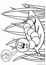 insect coloring Pages caterpillar Coloring4free  Coloring4Freecom sketch template