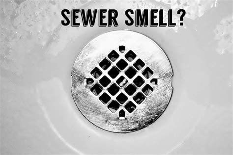 Smell Sewer Gas in Your House? Try This DIY Remedy Before Calling a ...