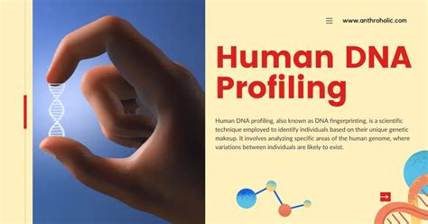 Human DNA Profiling (DNA Fingerprinting) | Anthroholic