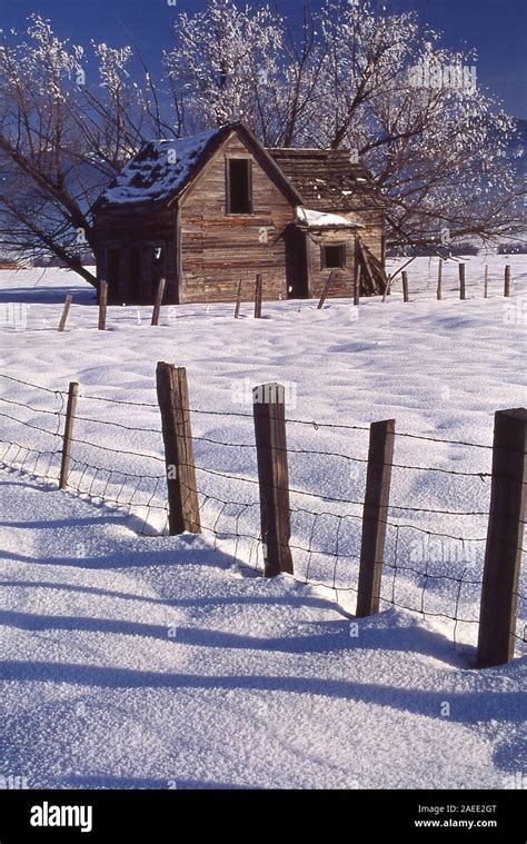 Old Homestead in Idaho Stock Photo - Alamy