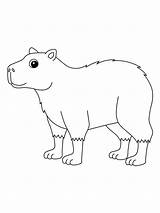 A Smiling Capybara coloring page  Download Print Or Color Online For Free sketch template