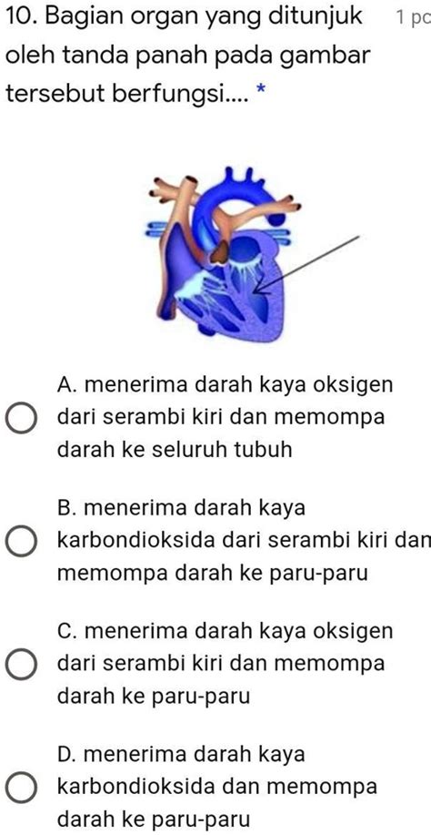 SOLVED: tolong ya yg bisa......... 10. Bagian organ yang ditunjuk pO oleh tanda panah pada ...