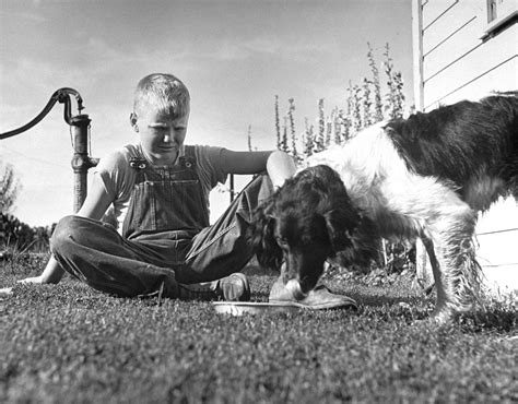 A Boy and His Dog: A Portrait of Friendship