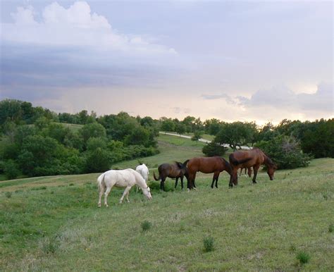 Platte River State Park | State parks, Favorite places, Park