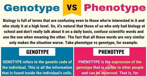 Genotype Vs Phenotype: Useful Difference Between Phenotype Vs Genotype - 7 E S L in 2020 | Life ...