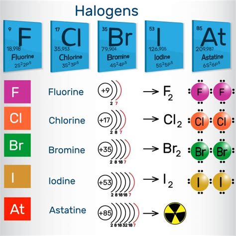 Properties Of Halogens Electron Affinity at nedrahzick blog