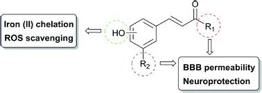 Biology-oriented development of novel lipophilic antioxidants with ...