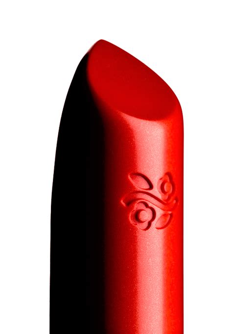 ROUGE A LEVRE | LIPSTICK on Behance