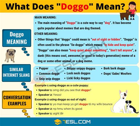 Doggo Meaning: What Does Doggo Mean? Useful Text Conversations • 7ESL