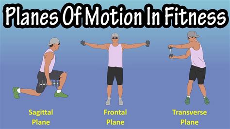 Importance Of The Planes Of Motion (Sagittal Plane, Frontal Plane, Transverse Plane) In Fitness ...