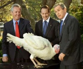 MILD: Funny Thanksgiving Turkey