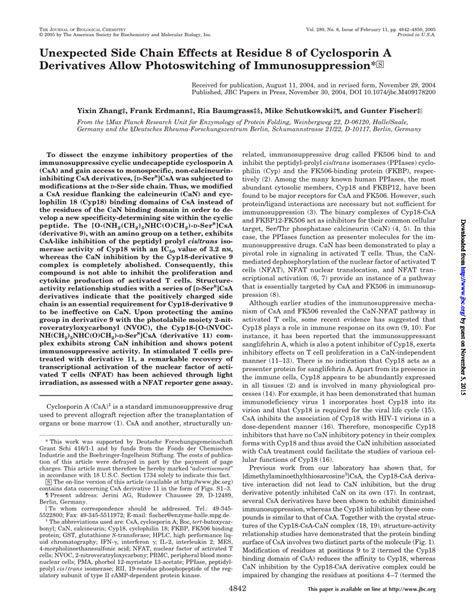 (PDF) Unexpected Side Chain Effects at Residue 8 of Cyclosporin A Derivatives Allow ...