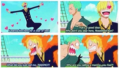 Zoro and Oscar vs Sanji and Ning Rongdong