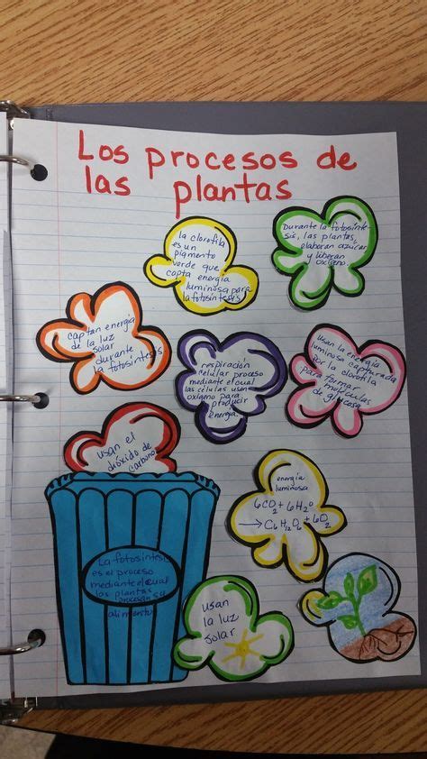 Materiales y actividades para Maestros: Plantillas libreta interactiva ...