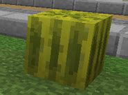 Melon | Minecraft Wiki | Fandom powered by Wikia