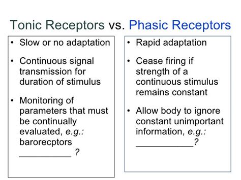 Tousif, role of receptors