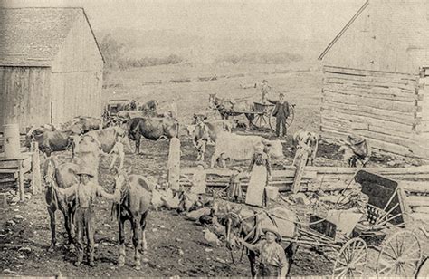 Agricultural Development in Rideau Township - Rideau Township Historical Society