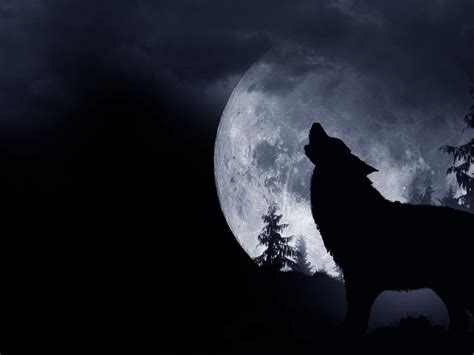 'Wolf Moon' rises: The first full moon of 2023 is known as a 'micromoon ...