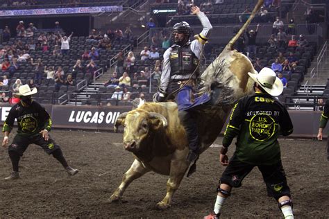 Professional Bull Riders Continue On With Symptom-Free Season ...