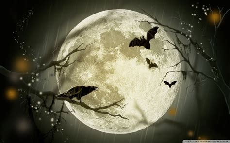 Halloween Moon Wallpapers - Top Free Halloween Moon Backgrounds - WallpaperAccess