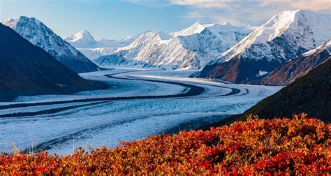 Best of Alaska Fall Landscapes, Glaciers, & Moose Photo Tour 2022