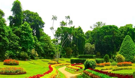 Royal Botanic Gardens - Sydney Boulevard Hotel