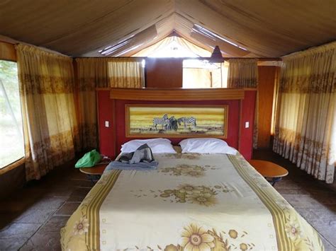 Sentrim Amboseli Lodge Pool Pictures & Reviews - Tripadvisor