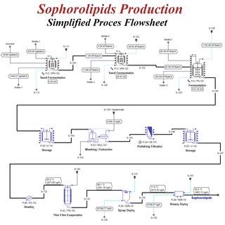 Monosodium Glutamate (MSG) Production Process Flowsheet (Flow Chart ...