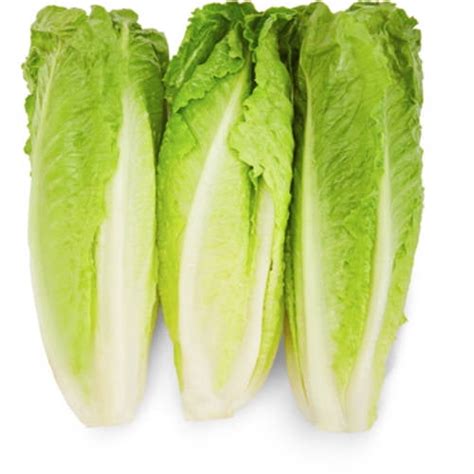 Romaine Lettuce Hearts, 3 Pack - Walmart.com - Walmart.com