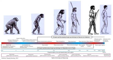 Primates are remarkably recent animals. Most animal species flourished and became extinct long ...