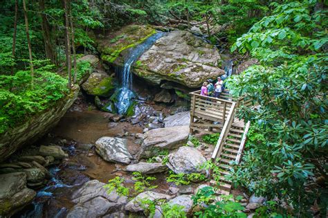 The 15 Best Boone NC Hiking Trails to Explore